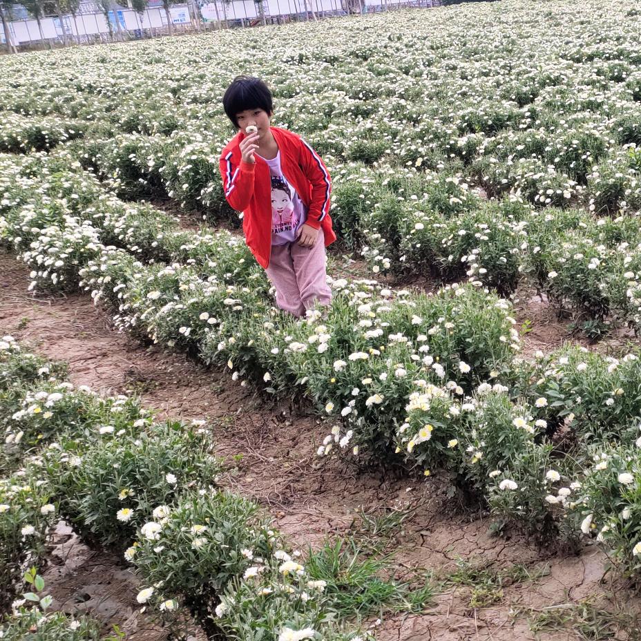 好的未来