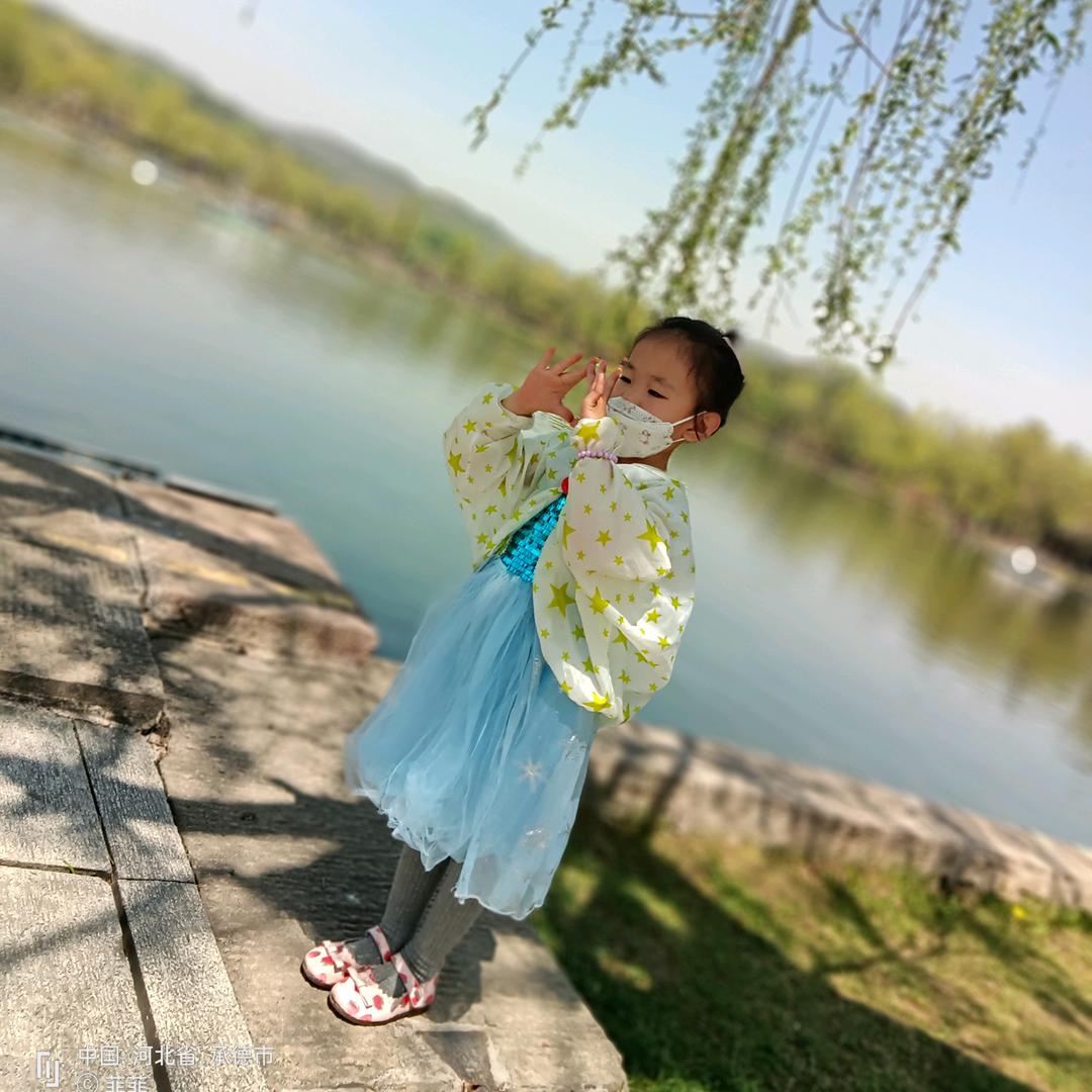 菲菲