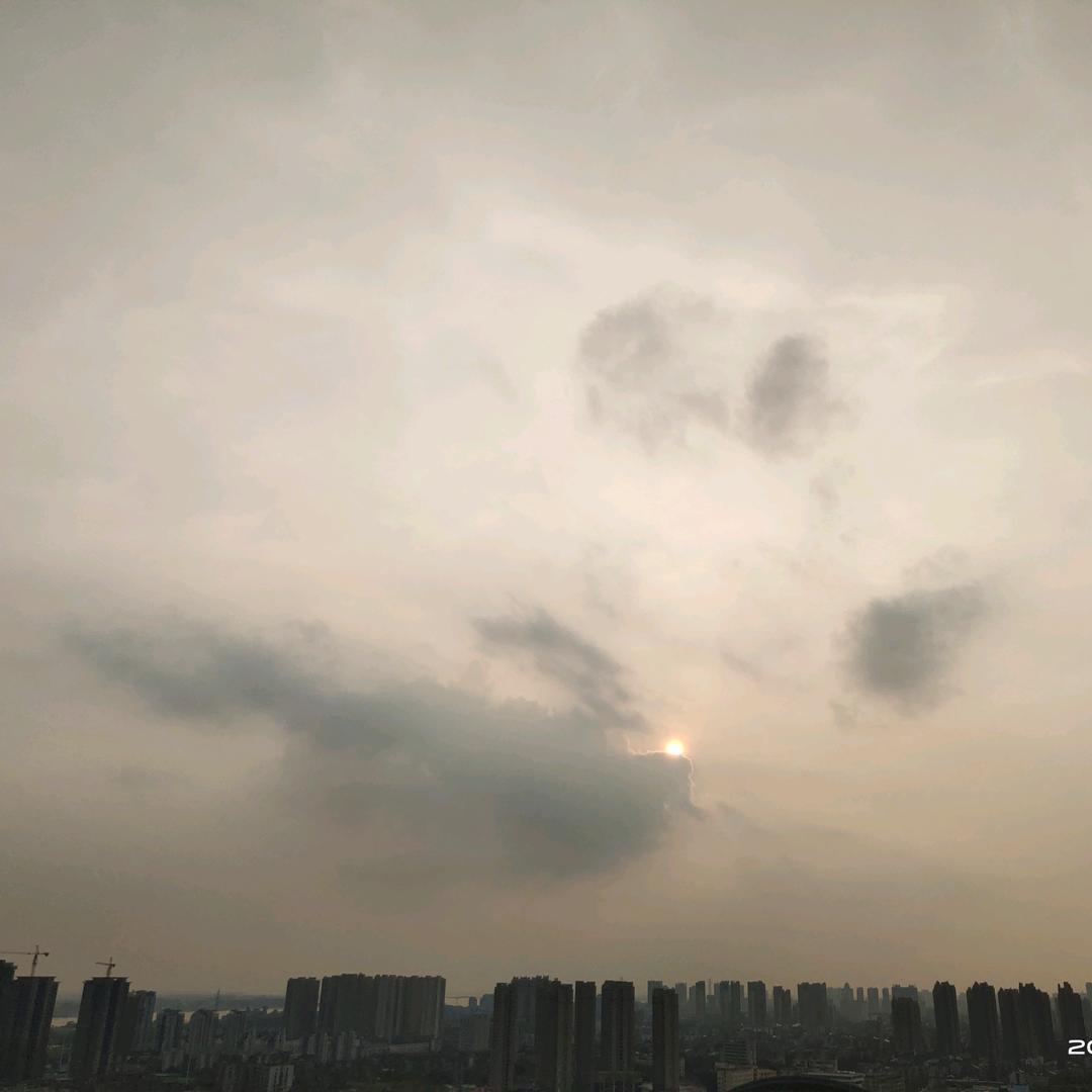 Dr.终年