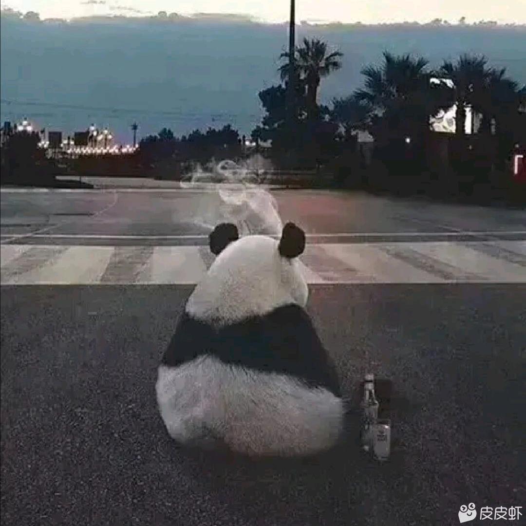 永不言弃