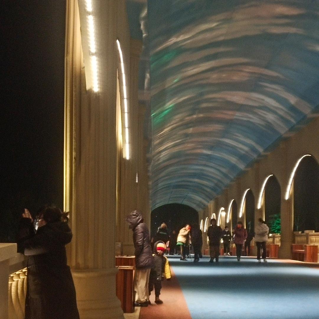 李小样