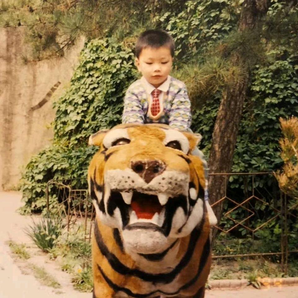 小呆猪