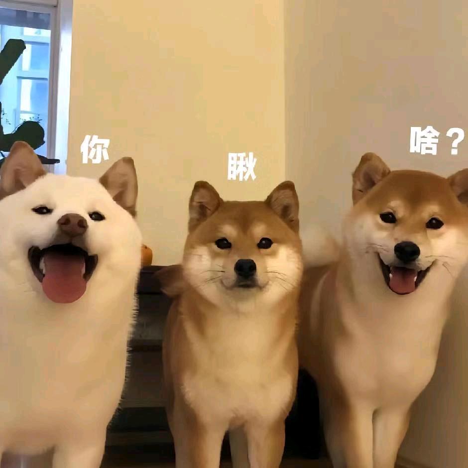 第一颗星星