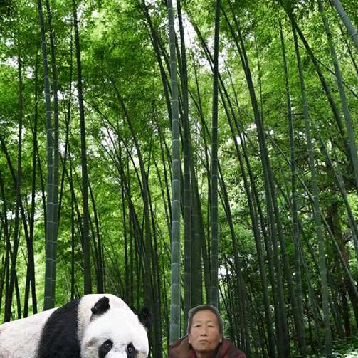 苏