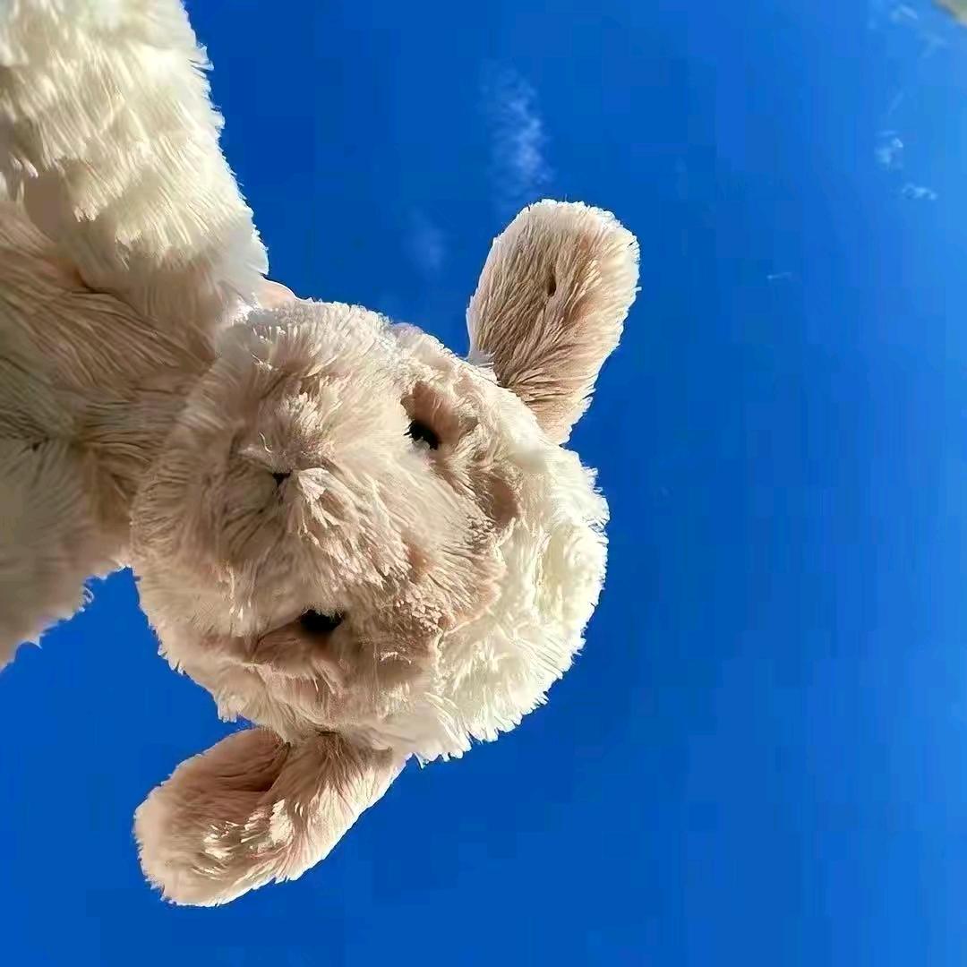 小周同学💗