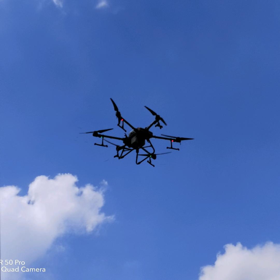 小七✈️✈️✈️✈️✈️✈️✈️