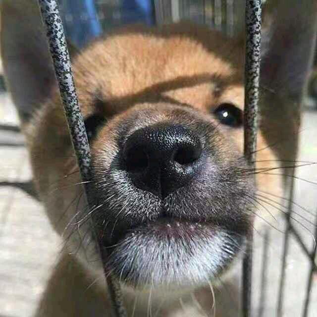不必正常
