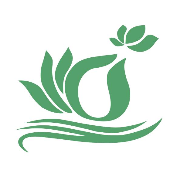 普陀山上小白花