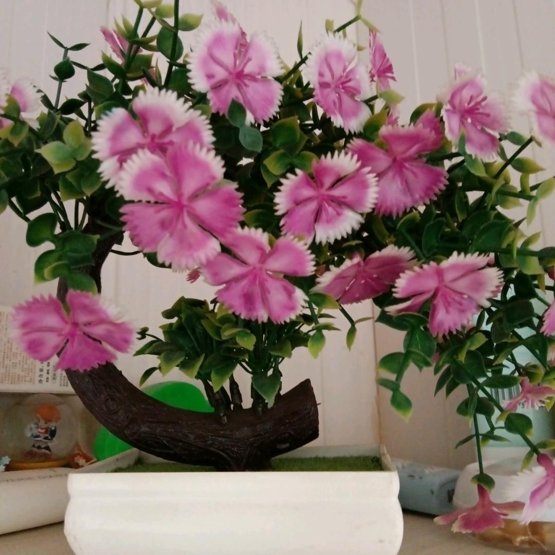 相儒以沫