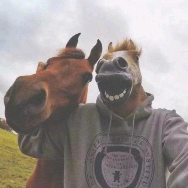 人头马