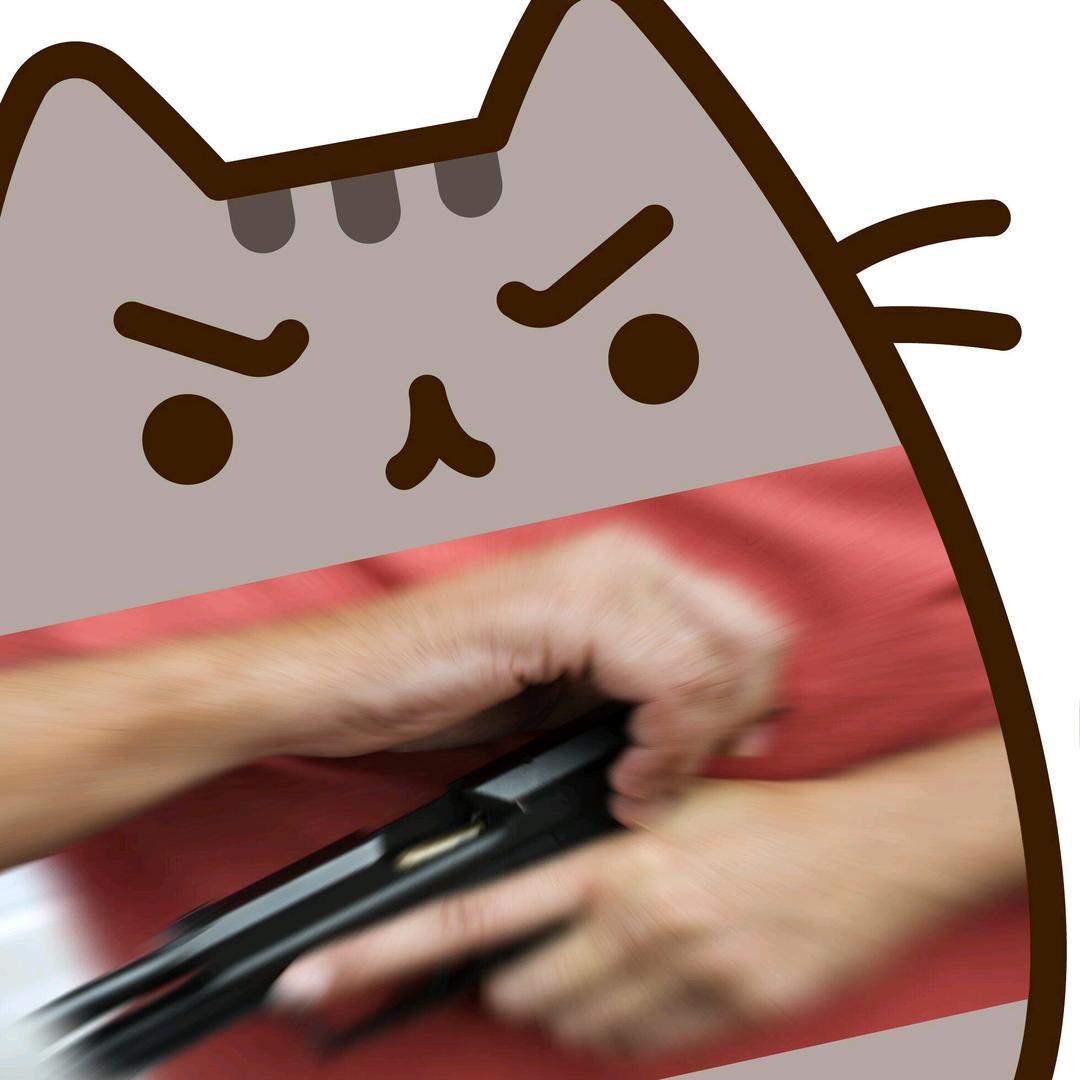 拾七z