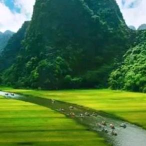 美拉的花草树木