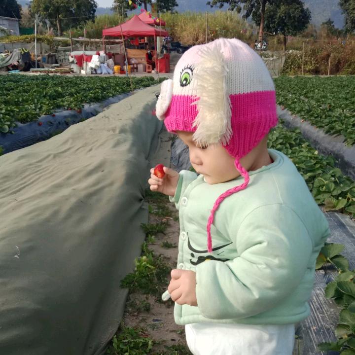 风花雪月