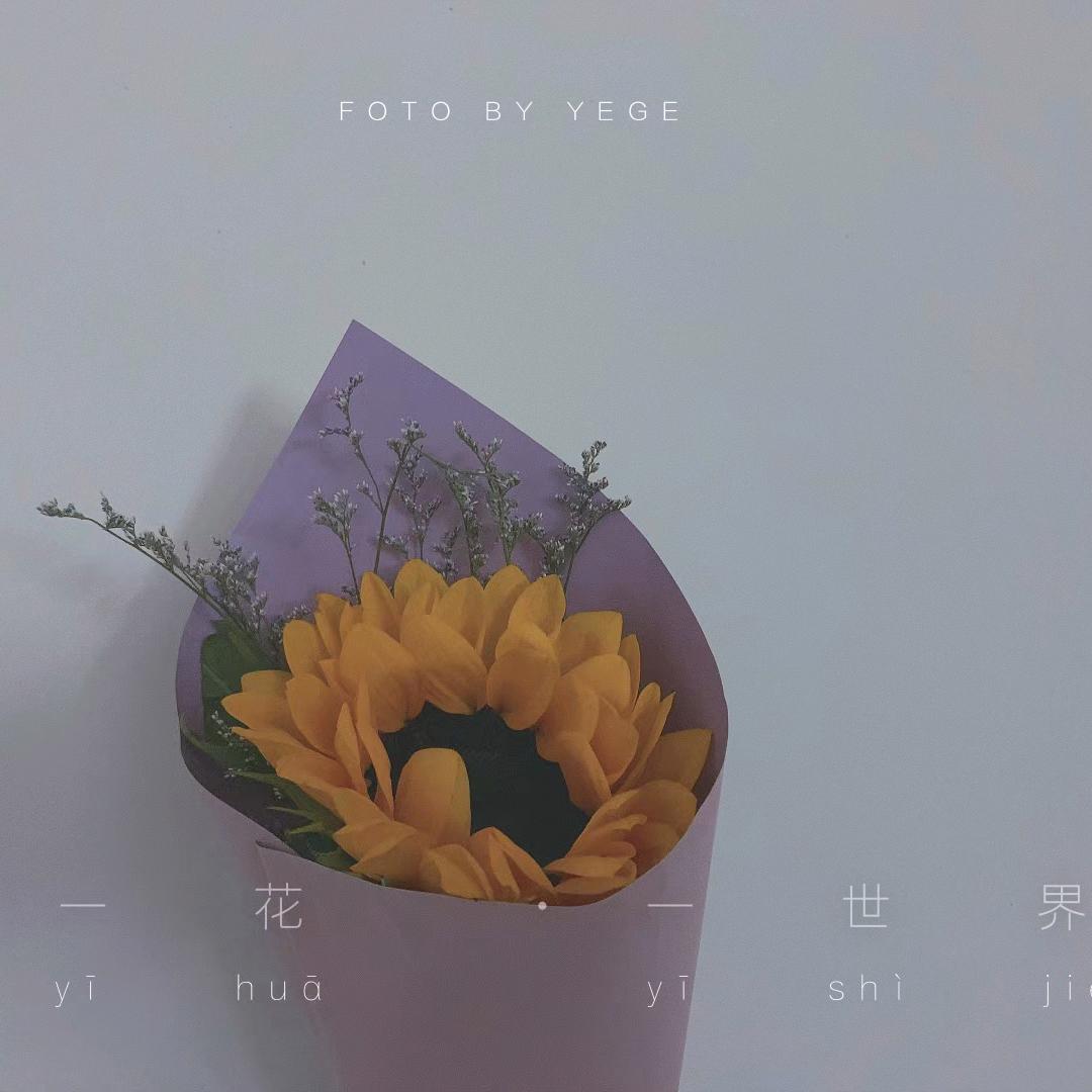 (∗❛ั∀❛ั∗)✧*。