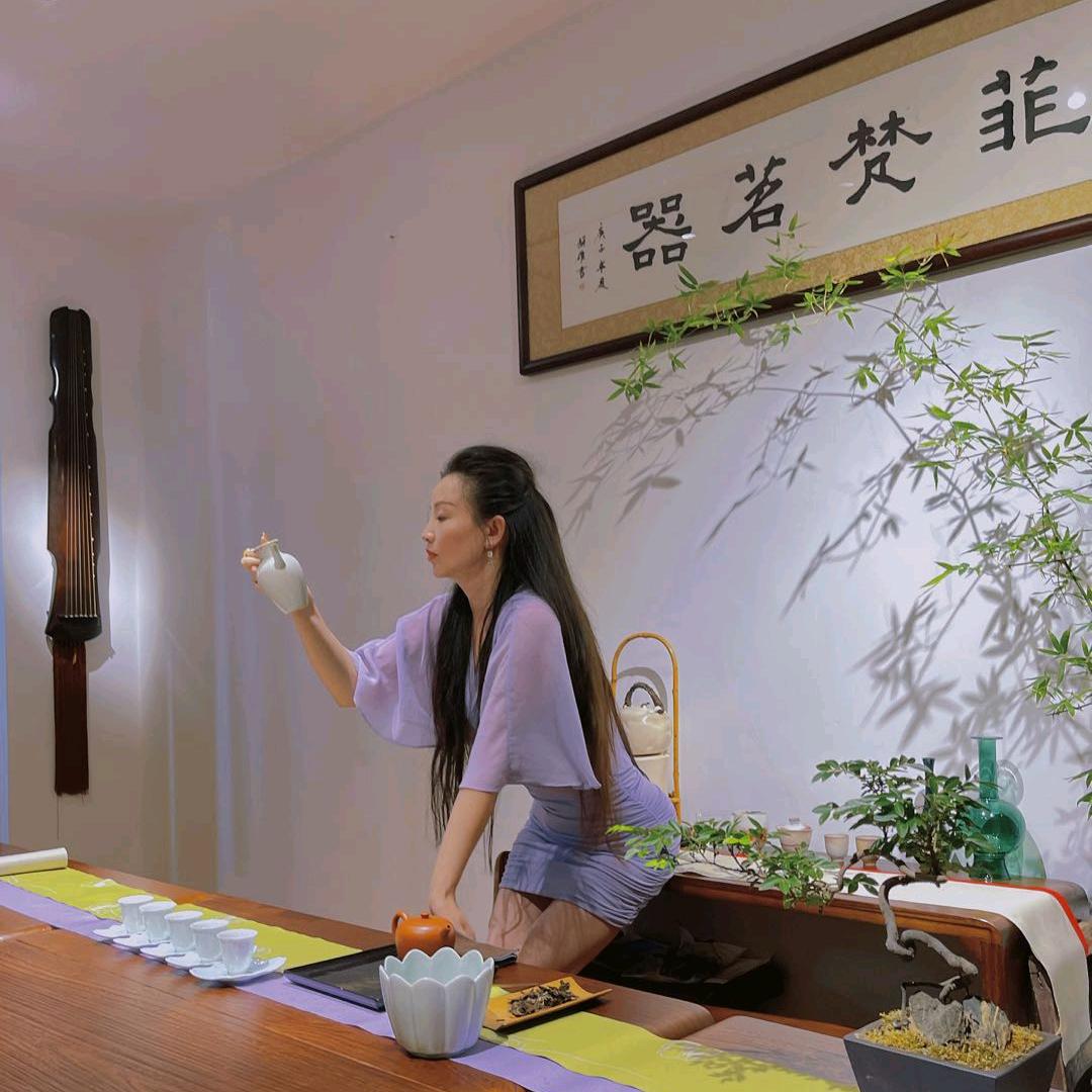 福鼎白茶俏佳人 魏菲