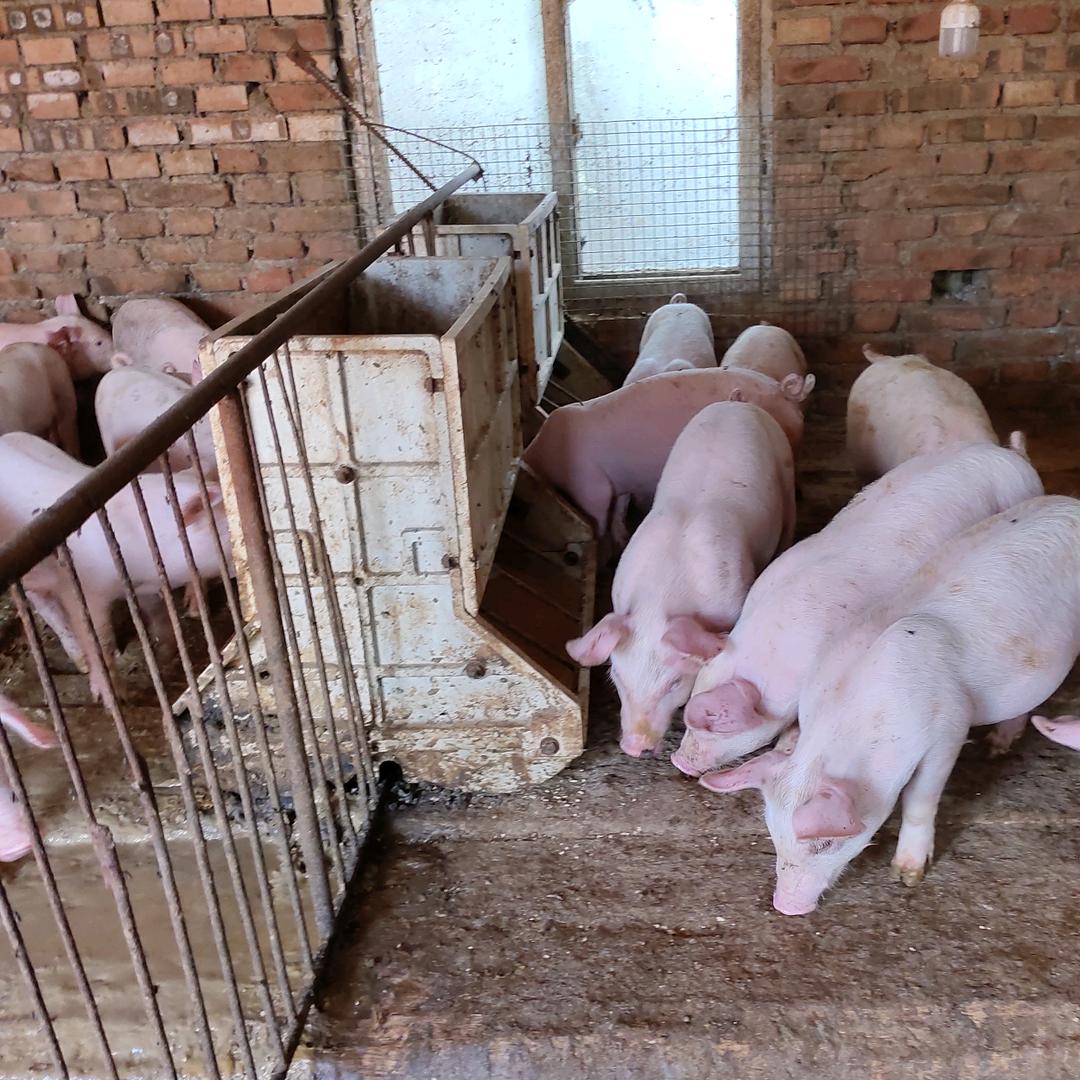 晓涛小号