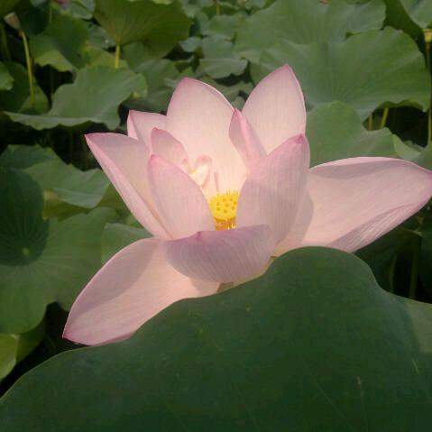 幸福美满