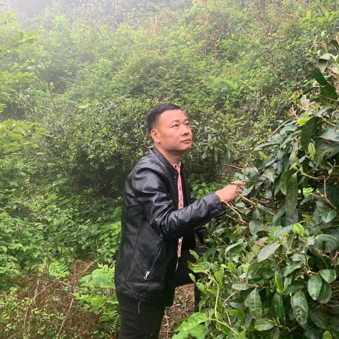 志拐