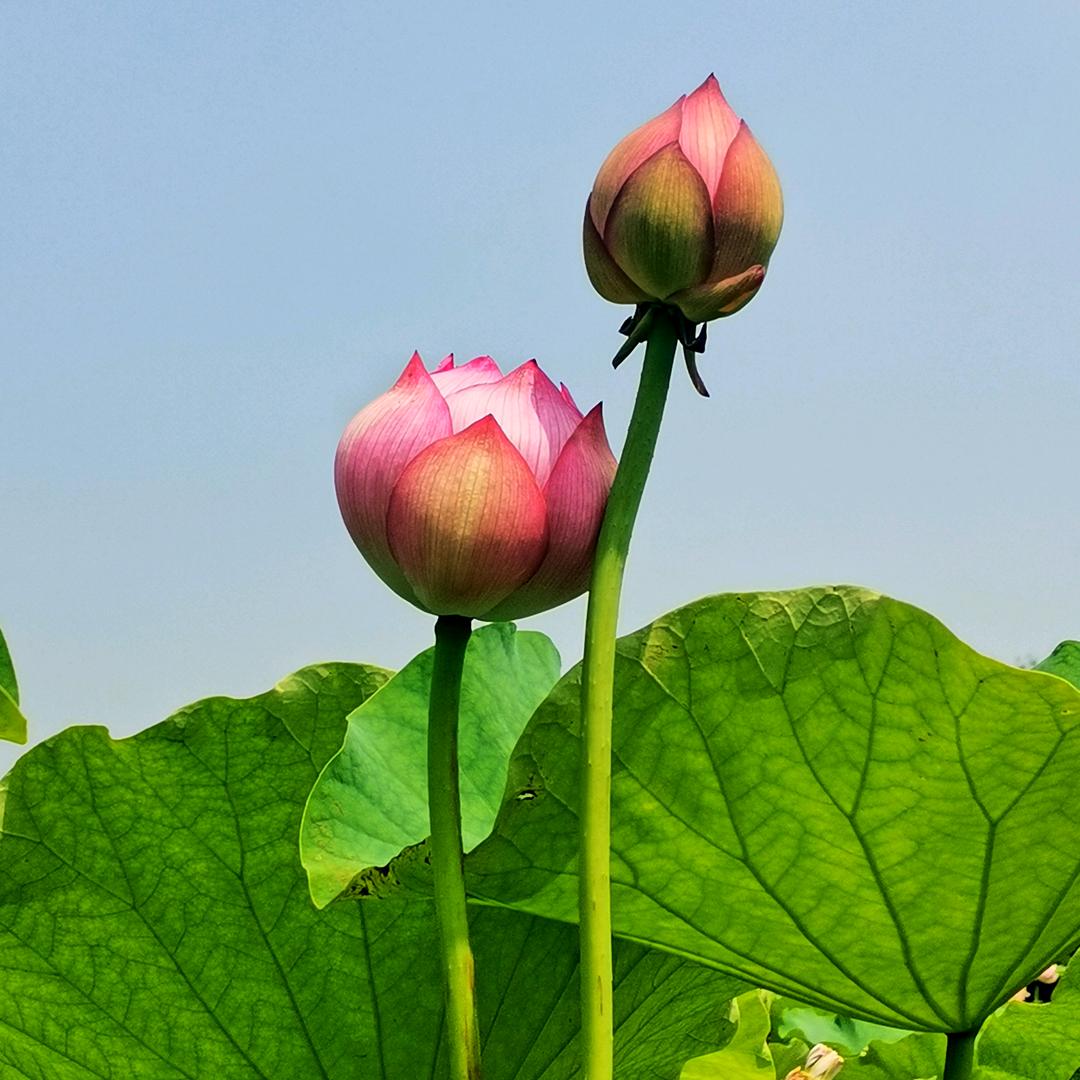 安稳😊