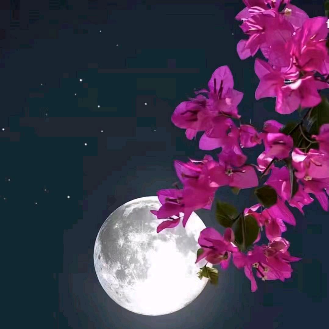 同路(茶余饭后纯属娱乐)在欧洲