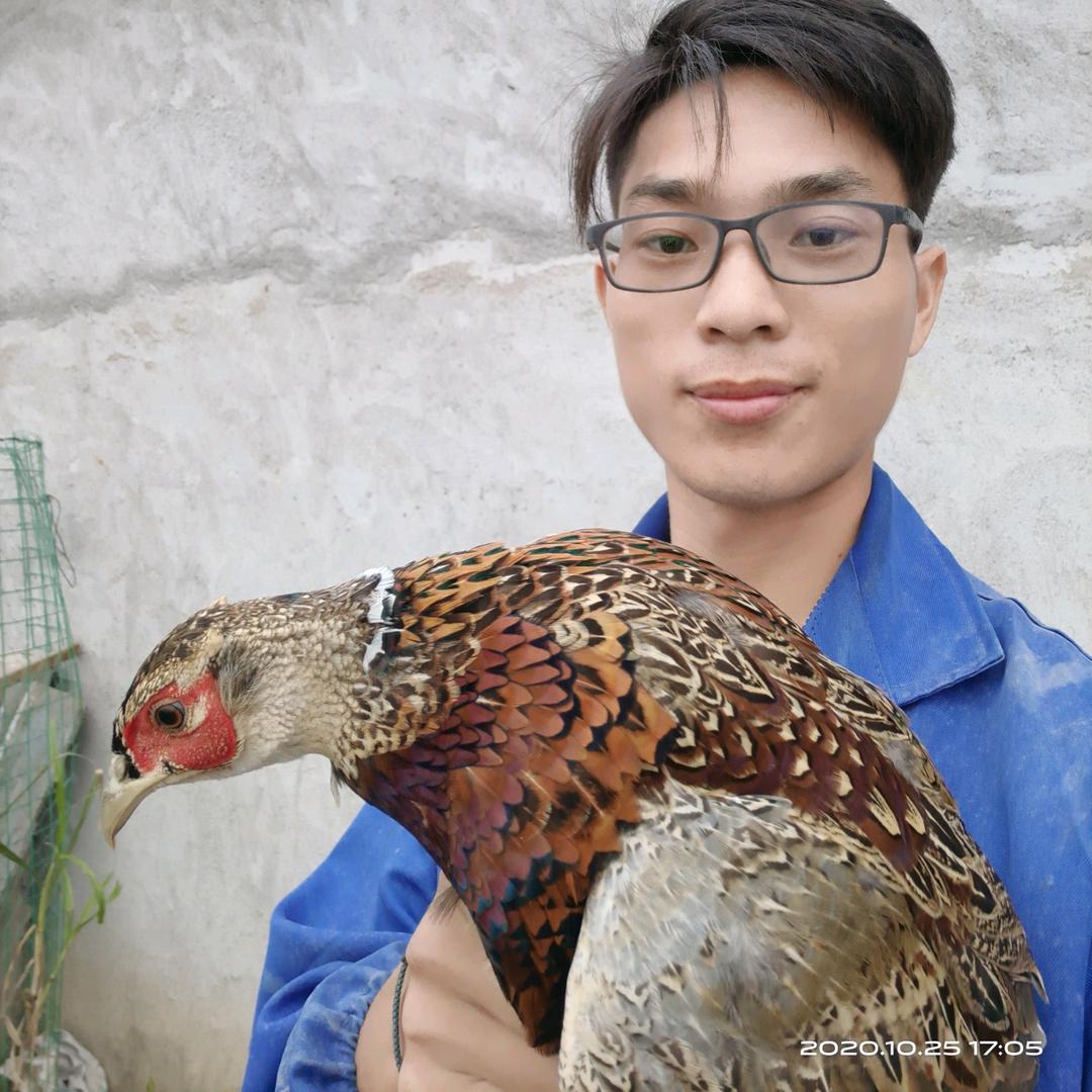 余干县鑫成生态养殖厂