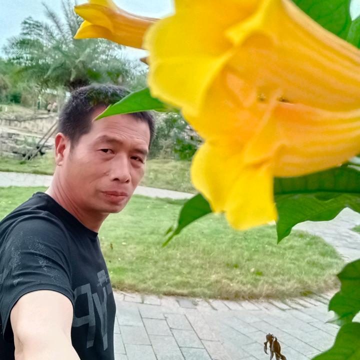 龙丰山寨，橱窗带货