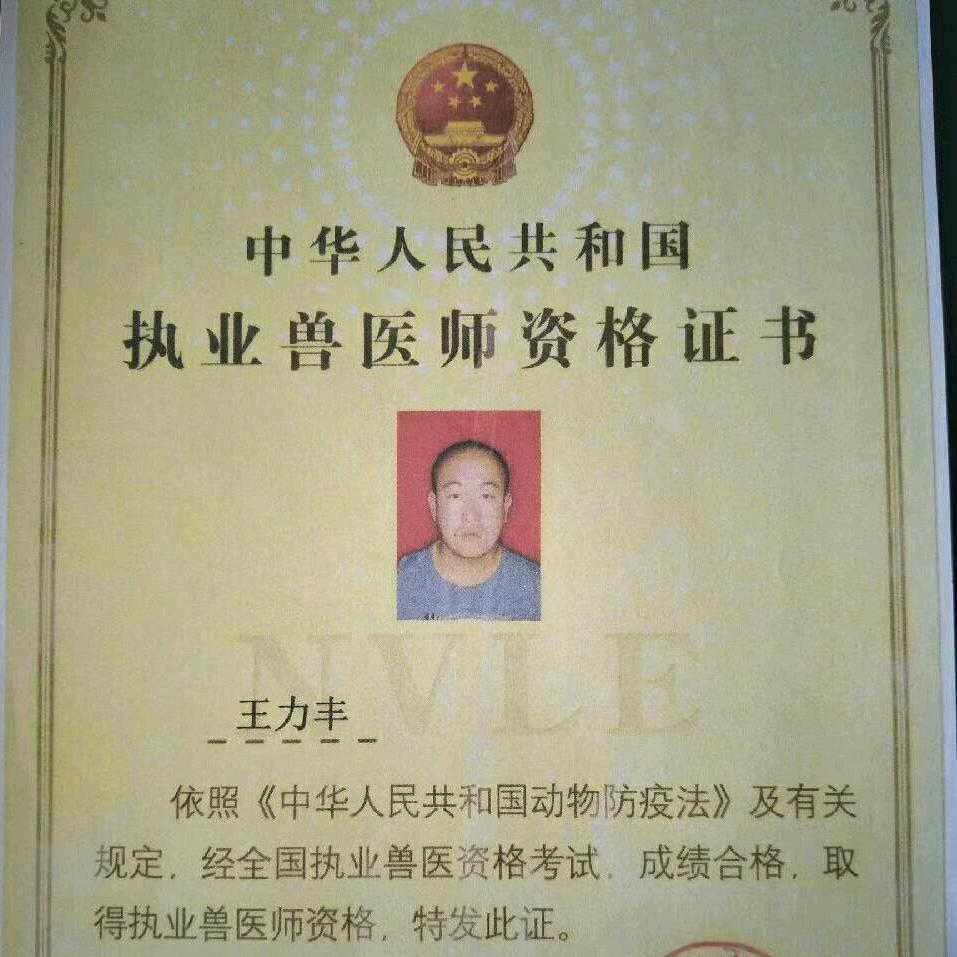 长治兽医小王