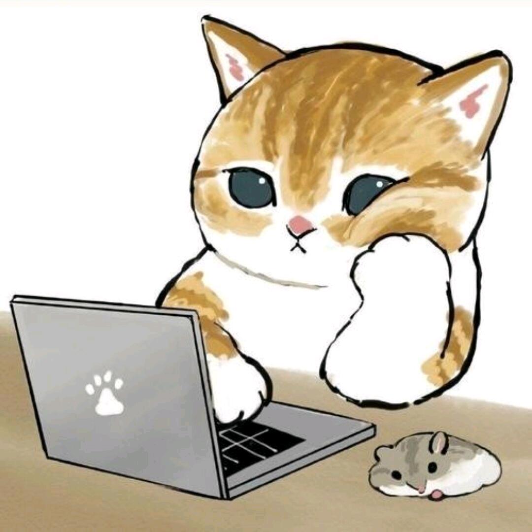 梦