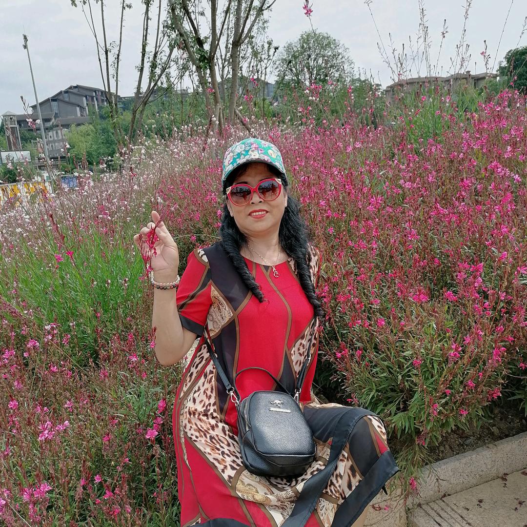 自在自媒体