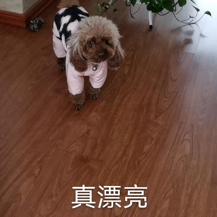 王哥2580000
