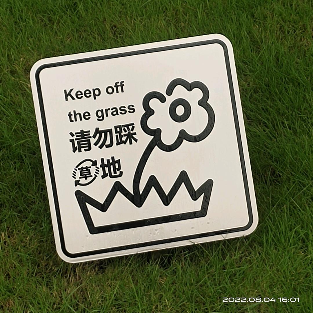 不是伊莉丝就是艾瑞丝