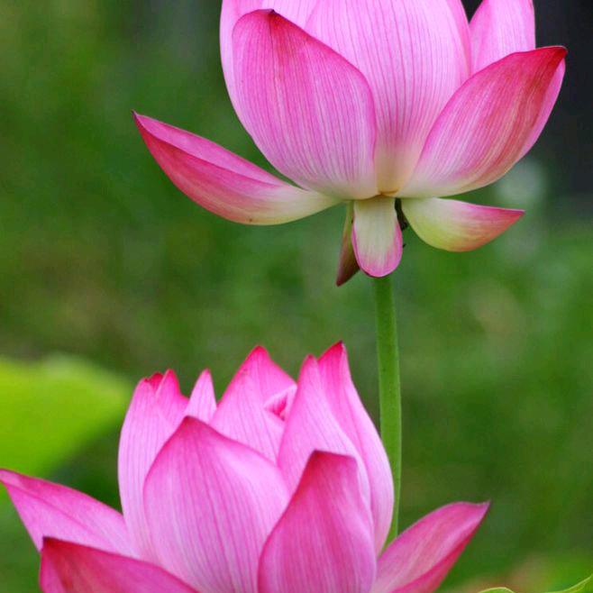 亲爱的小孩……寻（女）有缘人