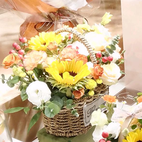 小可爱盼盼的大千世界