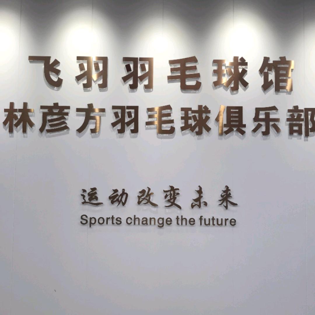 飞羽羽毛球馆&林彦方羽毛球俱乐部