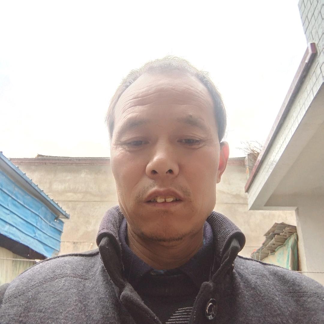 新红