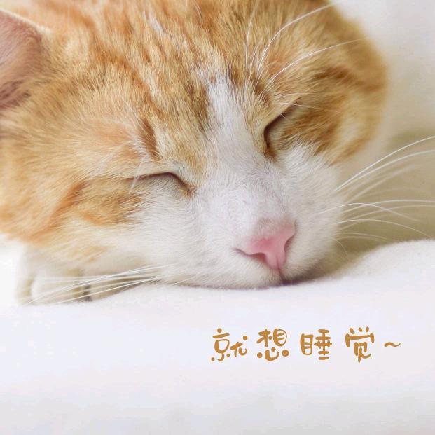生@