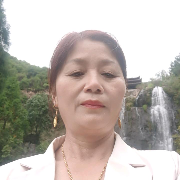 琴