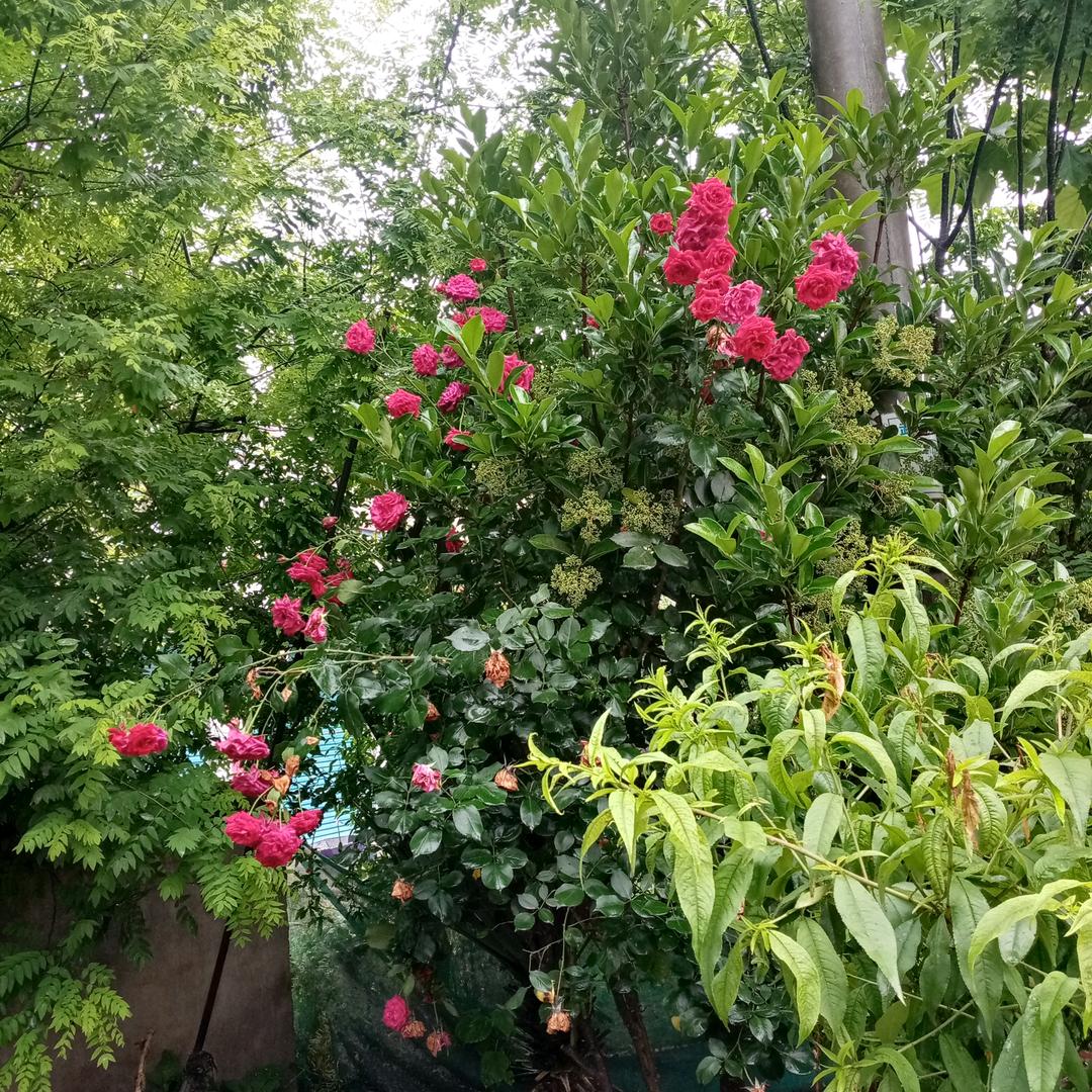 春暖花开