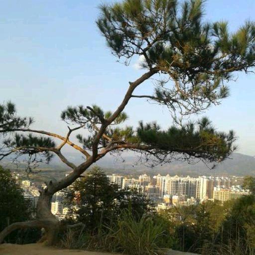 （LANQIANGJIN）不离不弃