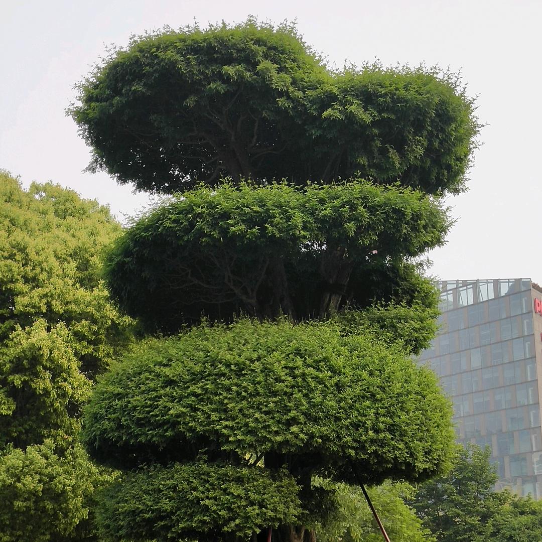 幸福是什么