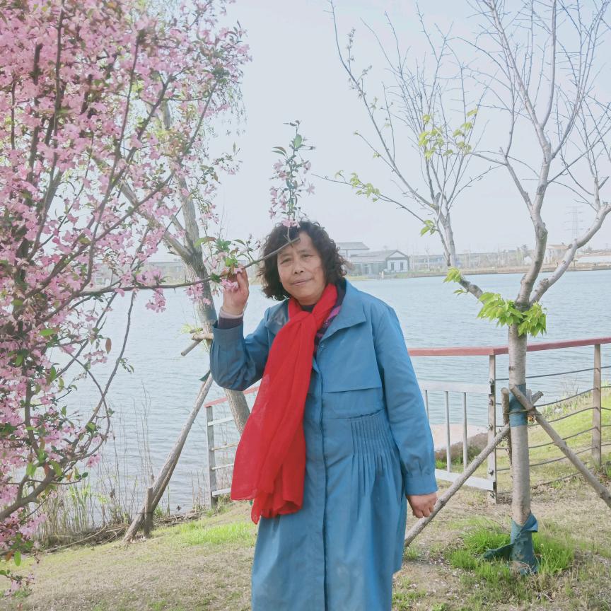 梦鑫奶奶
