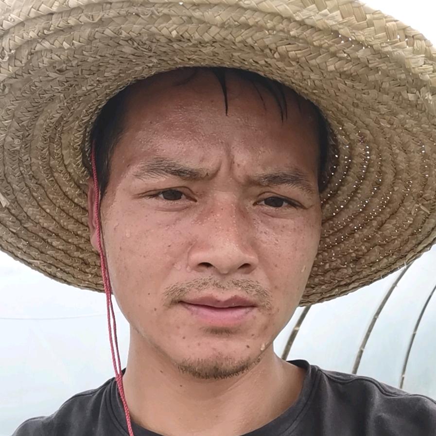 草莓西瓜园廖辉