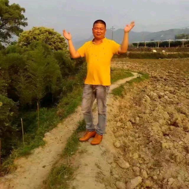 王豪，三毛麦饼山粉饺