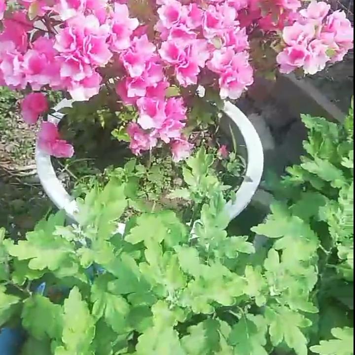 人生过半，凡事看淡