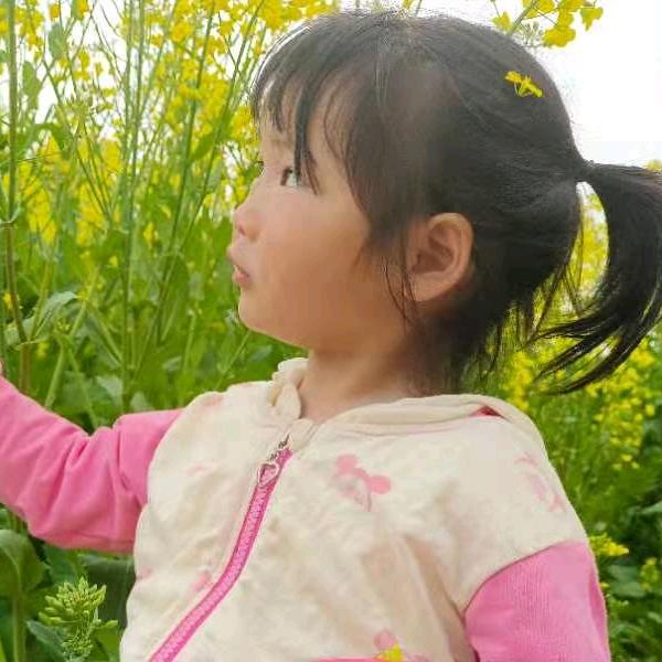 三宝娃娃菜