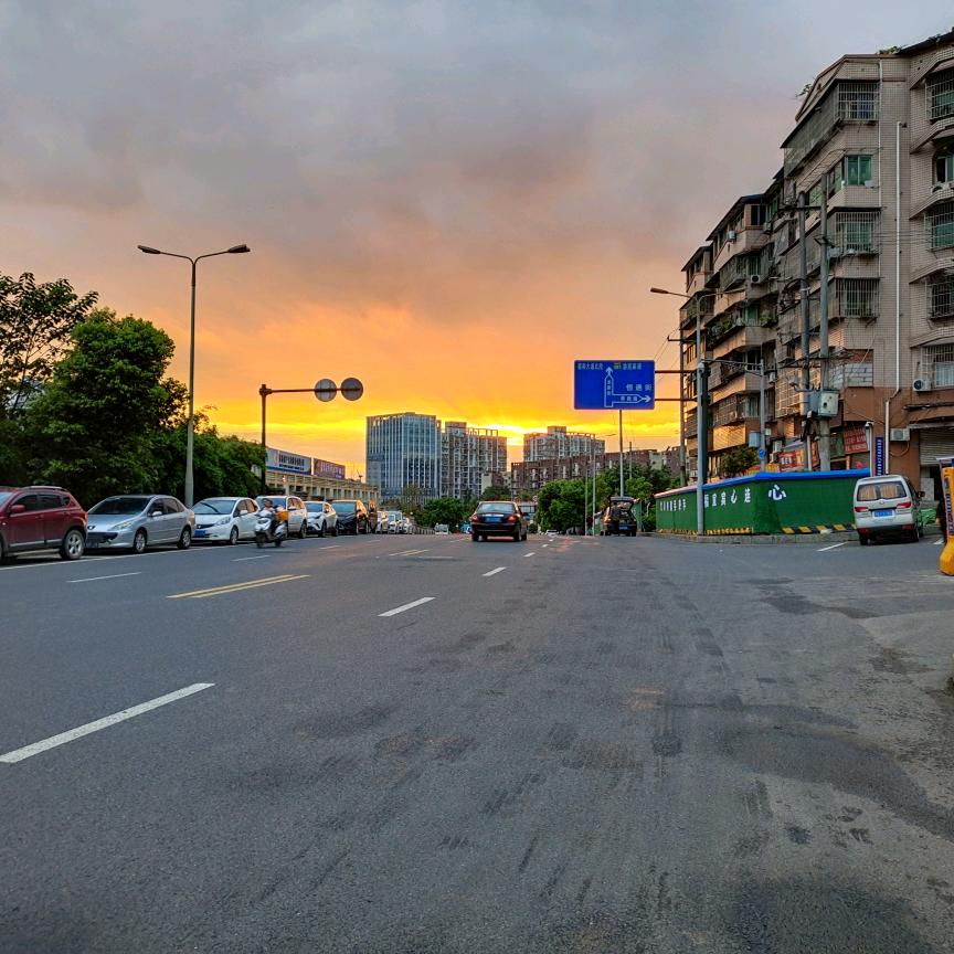 随心所欲