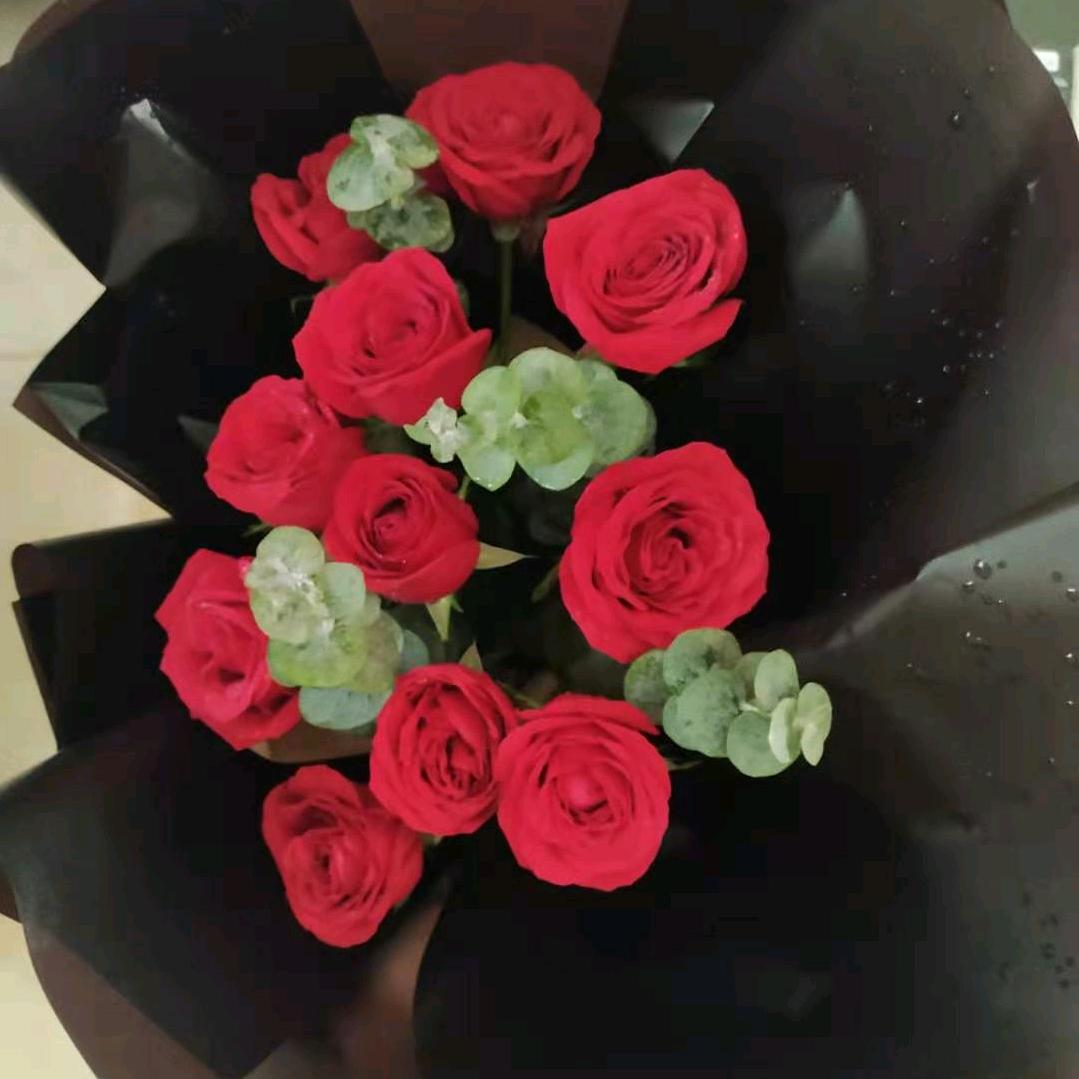 荷塘月色❤️