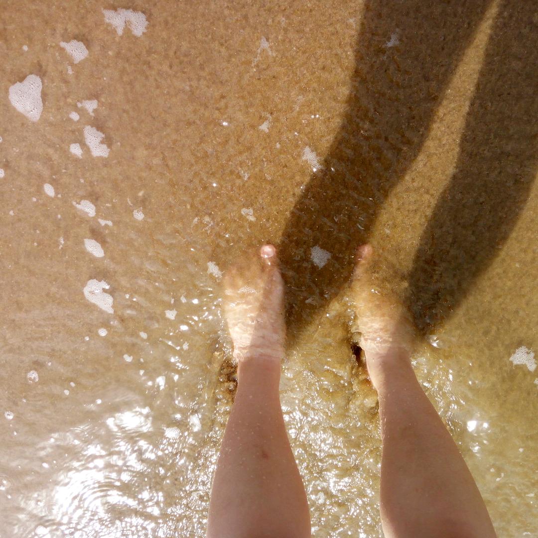 陶哥