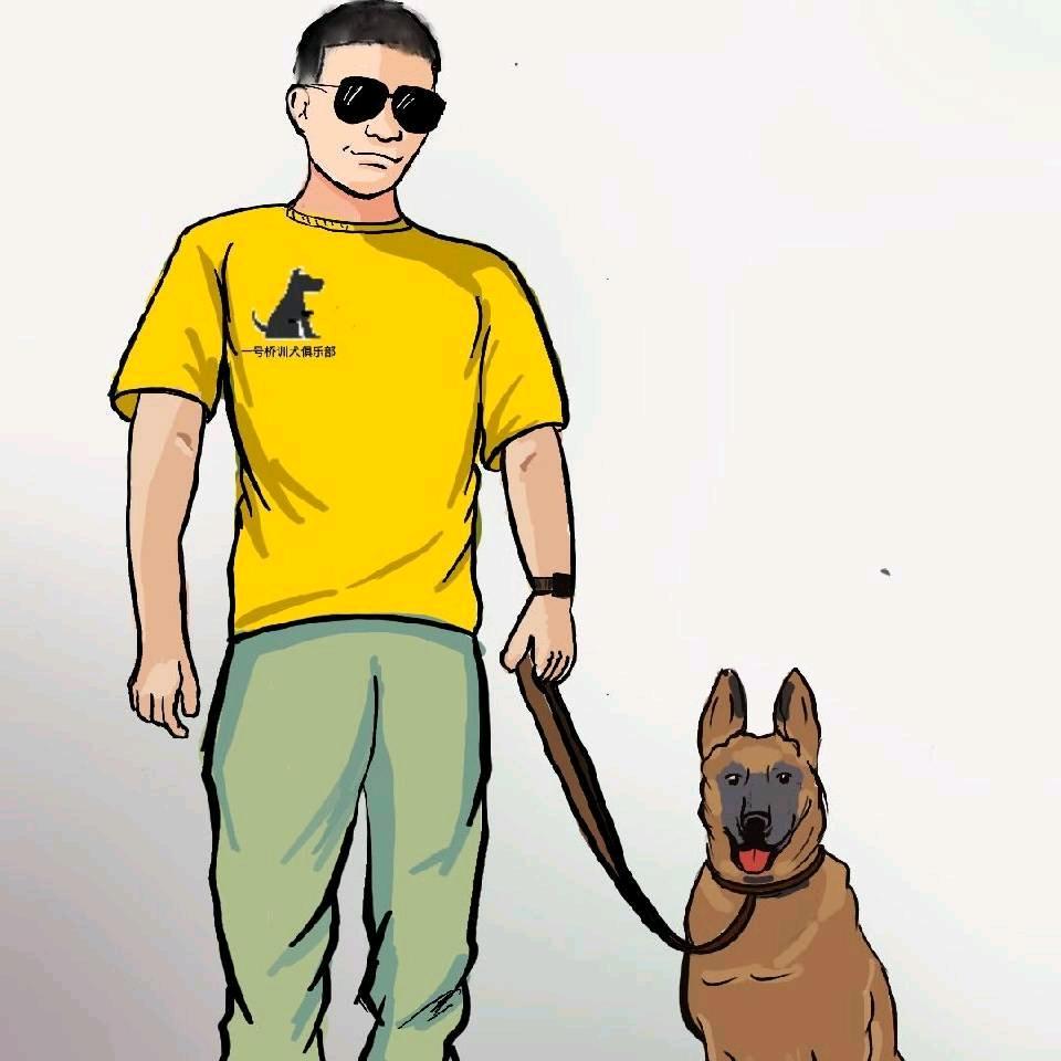 一号桥训犬俱乐部