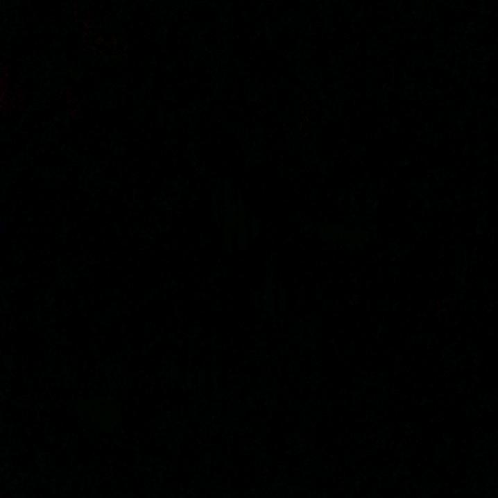 ❤️❤️梁挣钱
